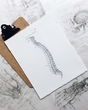 Image by Joyce McCown