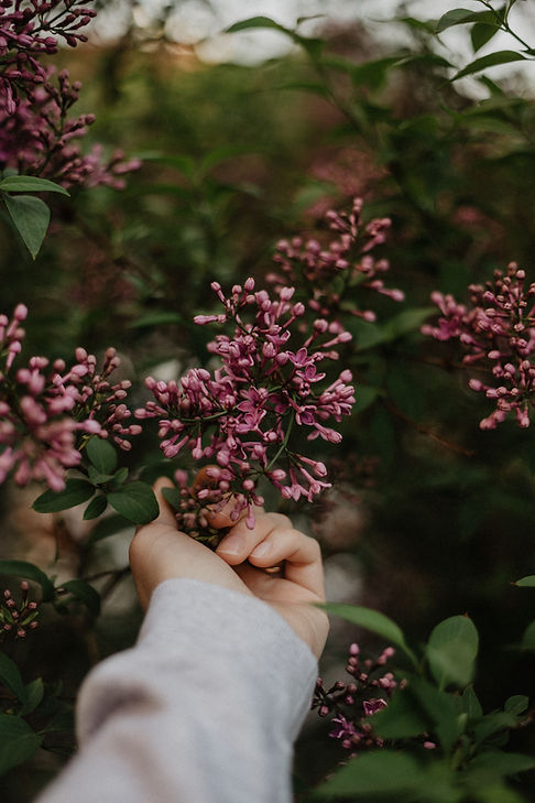 Image by Ellie Ellien