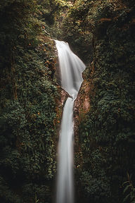Image by Alexander Aguero