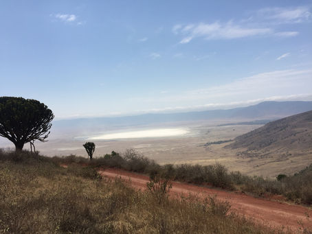 7 wahre Fakten über den Ngorongoro-Krater
