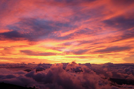 Image by Karl Fredrickson