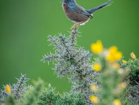 エペソ人への手紙3章18-19節