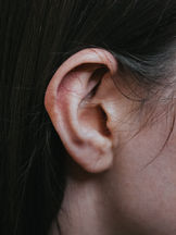 From Alarms to Birdsongs: How Your Brain Reacts to the Sounds of Daily Life