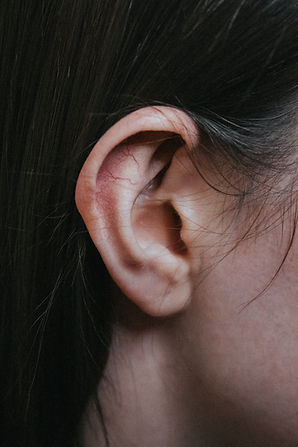 Picture of a human ear