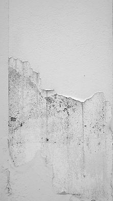 Image by the blowup