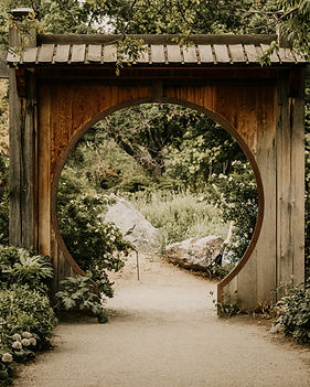 Image by Elijah Pilchard
