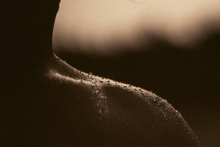 Image by Daoud Abismail