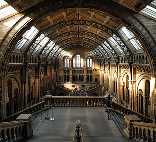 Image by Claudio Testa