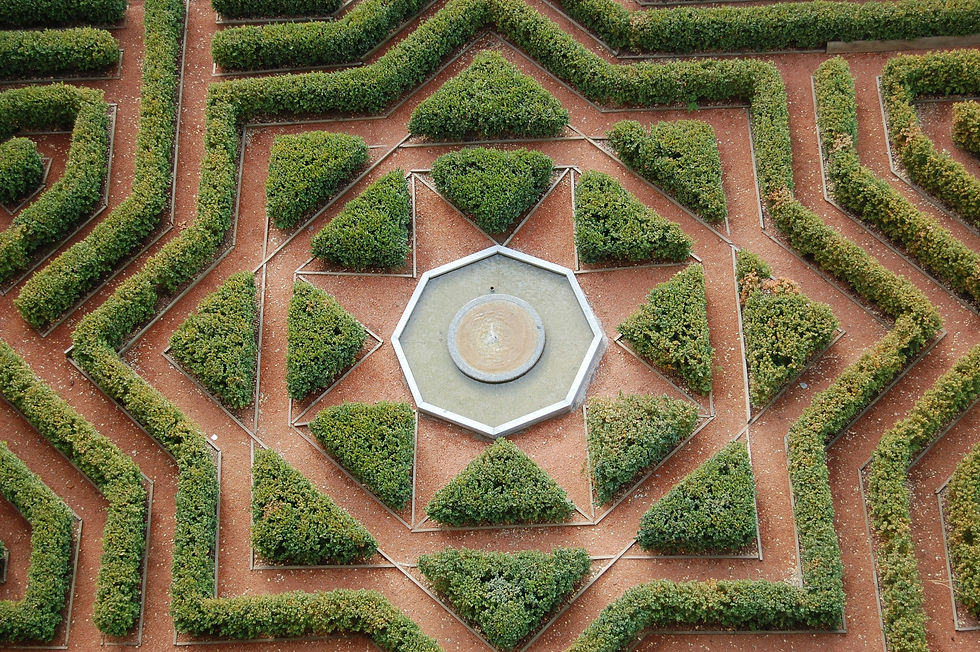 Landscape Design Principles: Creating Beautiful, Functional, and Sustainable Outdoor Spaces