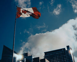 Image by Dariia Lemesheva