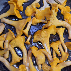 Tartine de ricotta fouettée et chanterelles du Québec