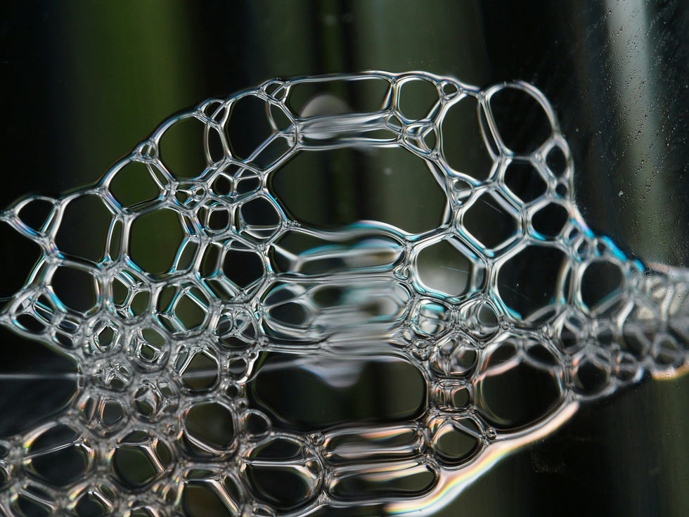 Allegene’s Vision for the Future of Biomedicine