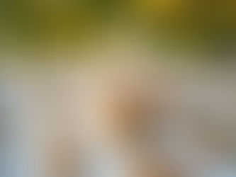 🎄12/27 Yesterday I ...