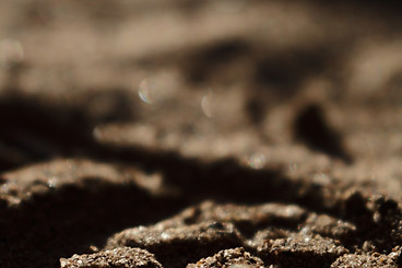 Image by Joshua Hoehne