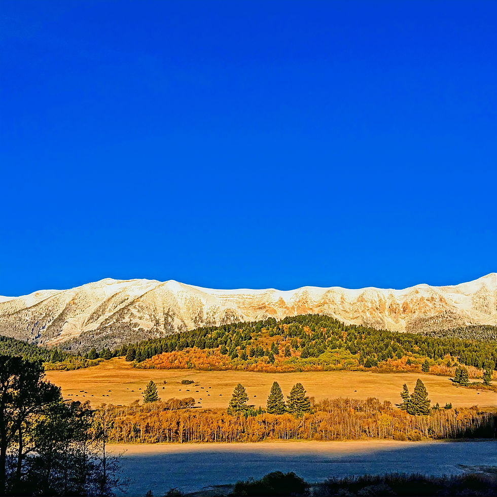 Montana