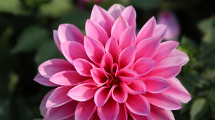 Intertwining Mindfulness to Create Calm