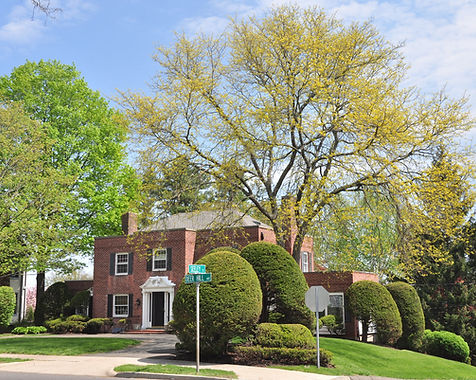 Image by I Do Nothing But Love