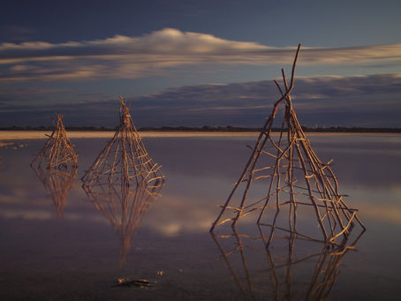Navigating the Rapids: Contrasting Indigenous Health in New Brunswick and Ontario