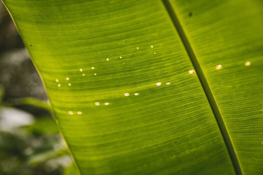 Image by Travis Colbert