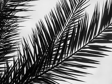 Image by Chrissa Giannakoudi