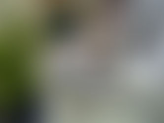 Whole Body Wellness: Healing from the Inside Out