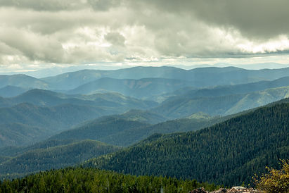 Image by Clay Elliot