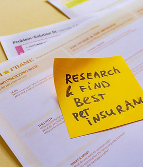 Image by Daria Nepriakhina 🇺🇦