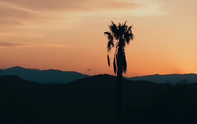 Image by Markus Spiske