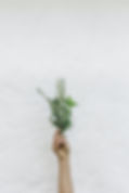 Image by NordWood Themes