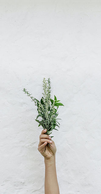 Image by NordWood Themes
