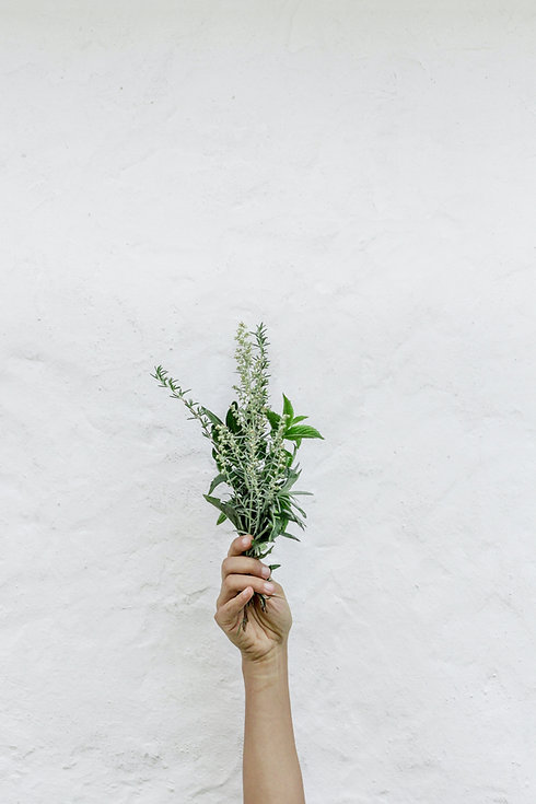 Image by NordWood Themes