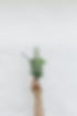 Image by NordWood Themes