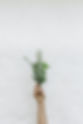 Image by NordWood Themes
