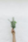 Image by NordWood Themes