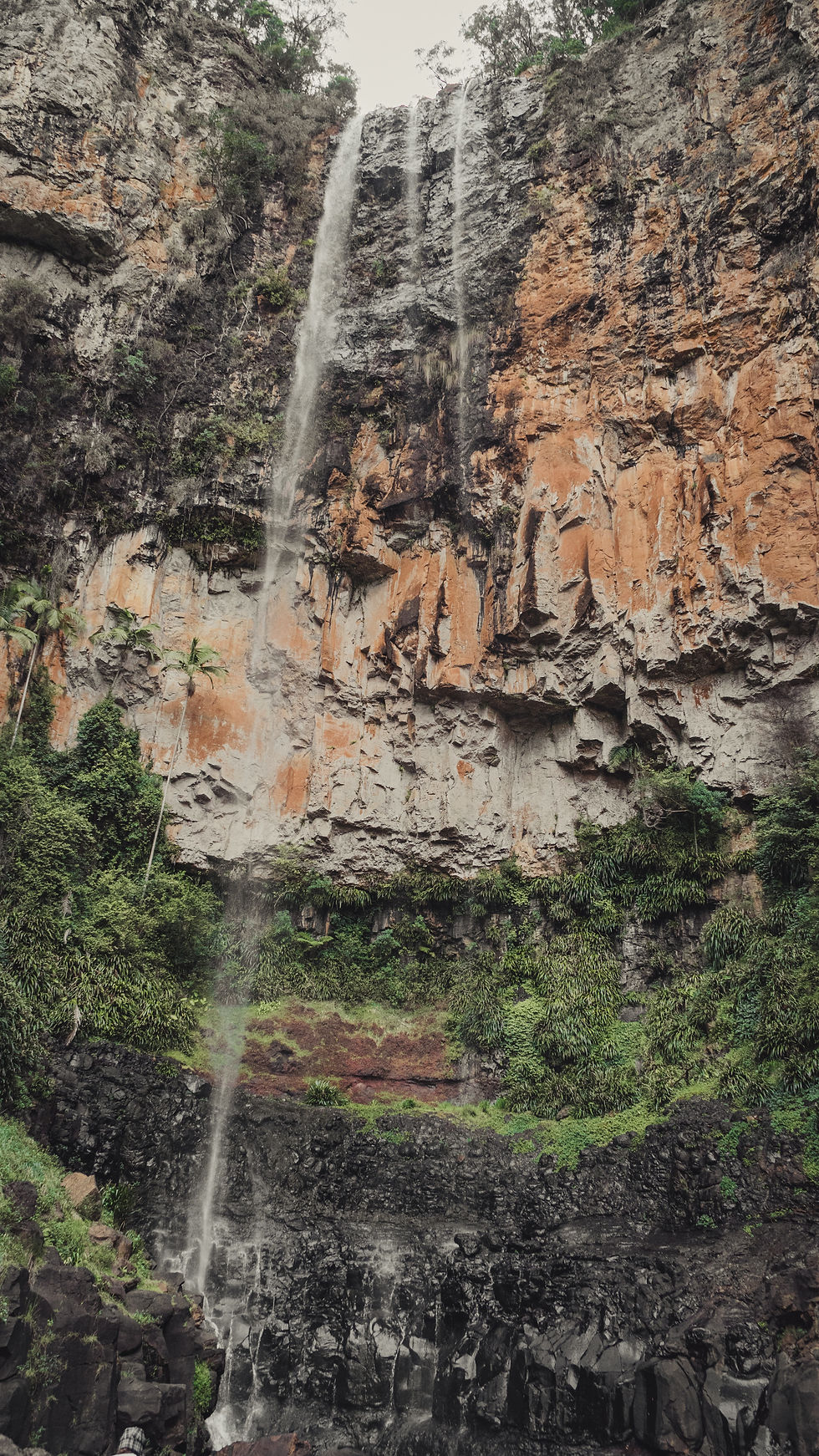 Purling Brook - Photo by Lochlainn Riordan on Unsplash