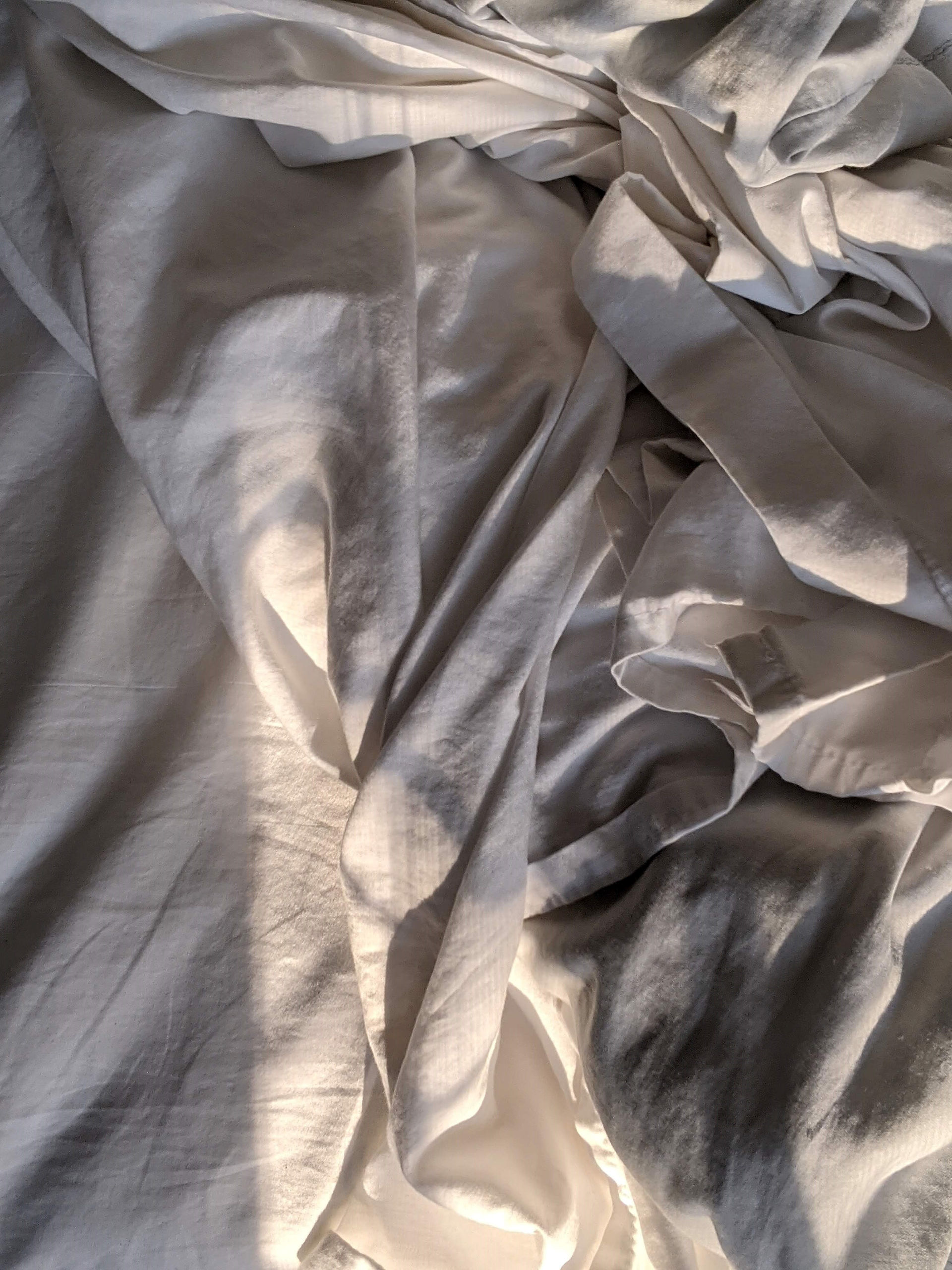 grey bedding