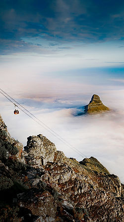 Image by Thomas Bennie