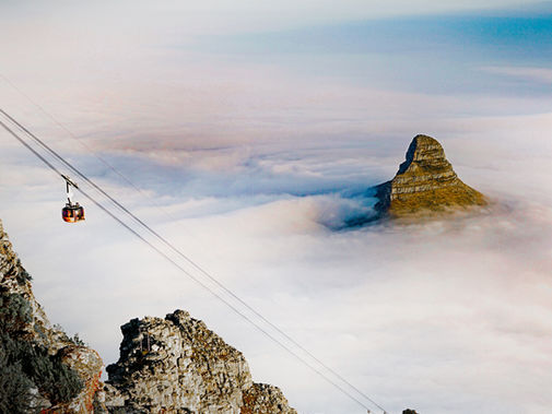 Customs Online Traveller Declaration for South Africa