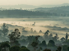 Community-led conservation initiative focuses on biodiversity and rural livelihoods in Mpem et Djim
