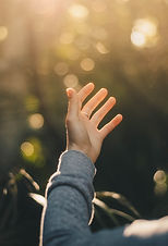 Hand raising into sunlight. 