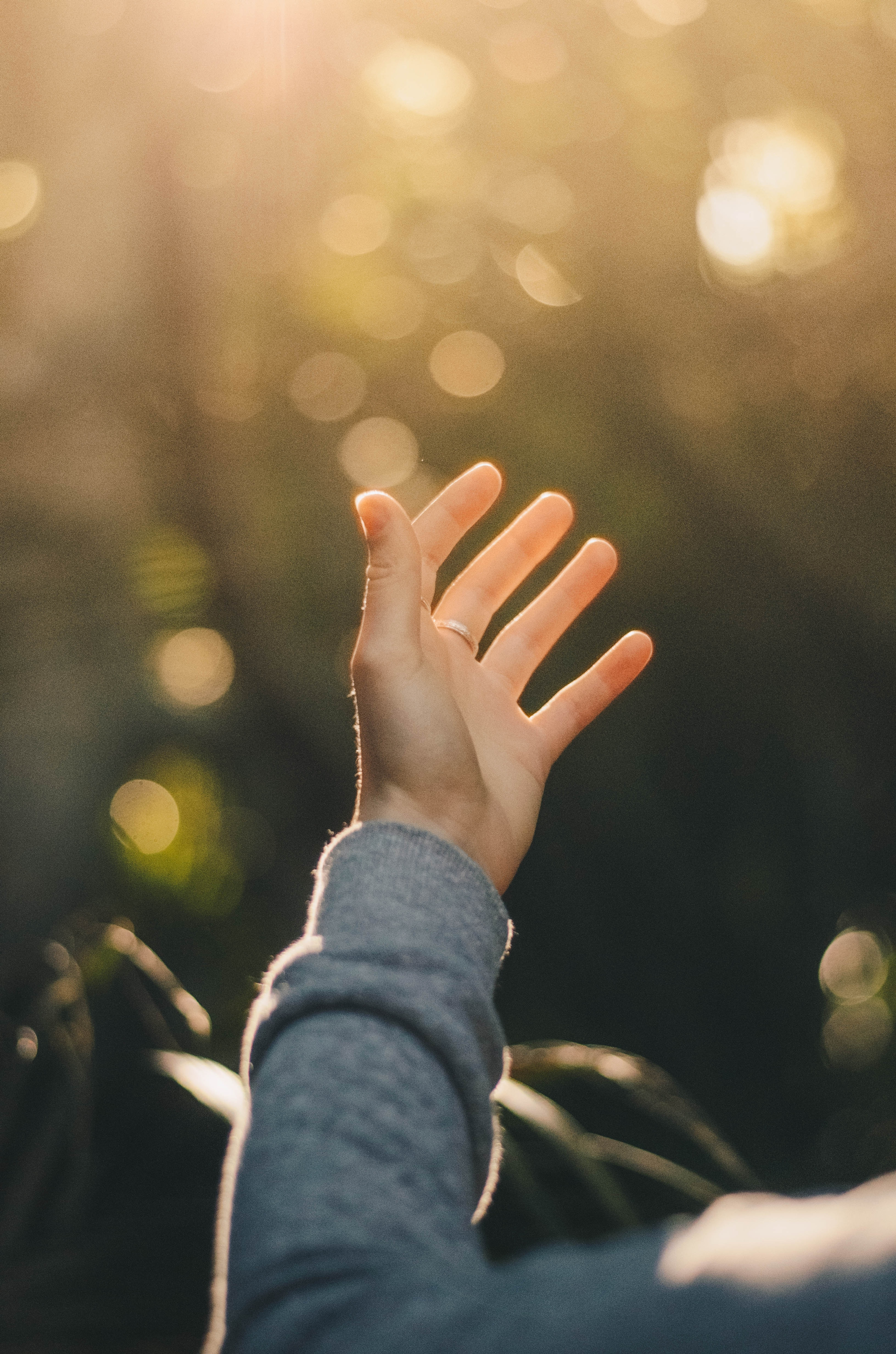 Reiki Healings for People - Distance Healing initial 45 minutes