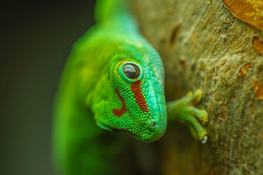 Image by Leon Pauleikhoff