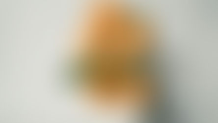 Examples of 'collectively' in a Sentence