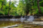 Waterfall In Summer