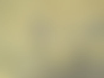 Common Signs of Damp: How to Spot the Warning Signs in Your Home