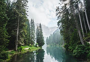 Image by Luca Bravo
