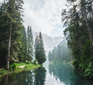 Image by Luca Bravo