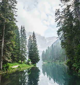 Image by Luca Bravo - Resilienz & Stressmanagement