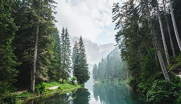 Image by Luca Bravo