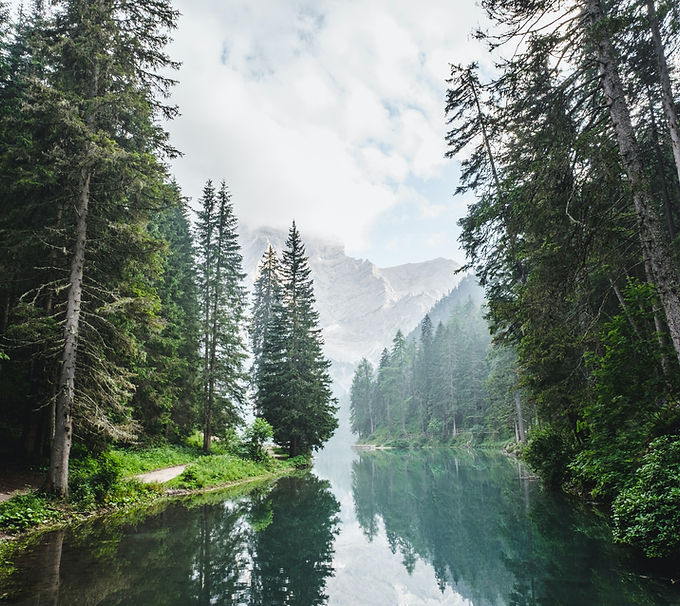 Image by Luca Bravo